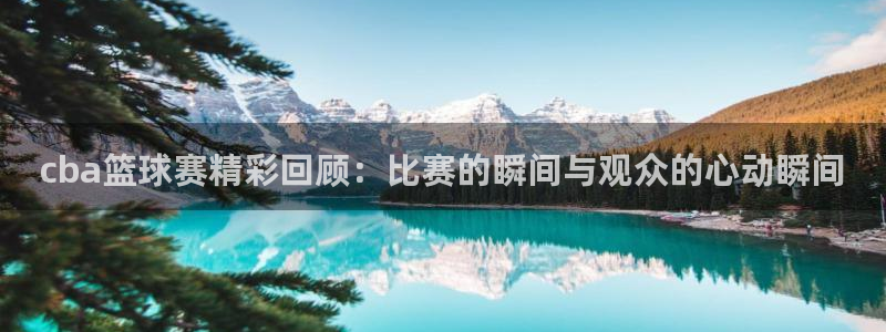 意昂体育是正规平台的吗：cba篮球赛精彩回顾：比赛的瞬间与观