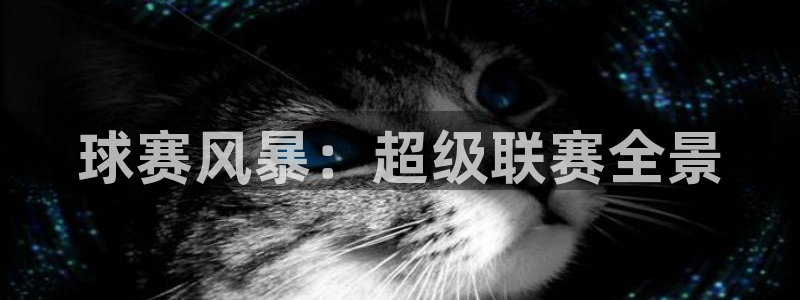  意昂注册：球赛风暴：超级联赛全景