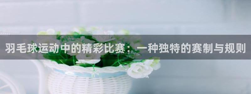  意昂平台登录入口最新版本介绍：羽毛球运动中的精彩比赛：一种独