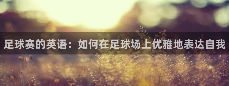  意昂平台登录入口最新版本介绍：足球赛的英语：如何在足球场上优