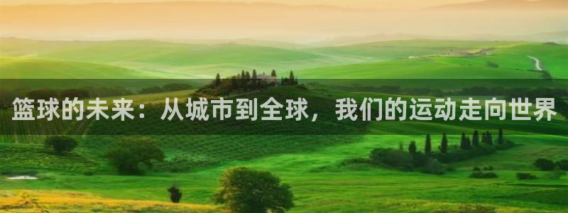  意昂体育网页登录入口入口官网网页版：篮球的未来：从城市到全球