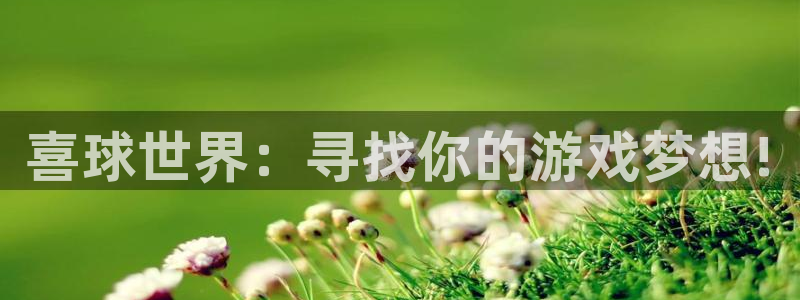 意昂体育app正版下载安装：喜球世界