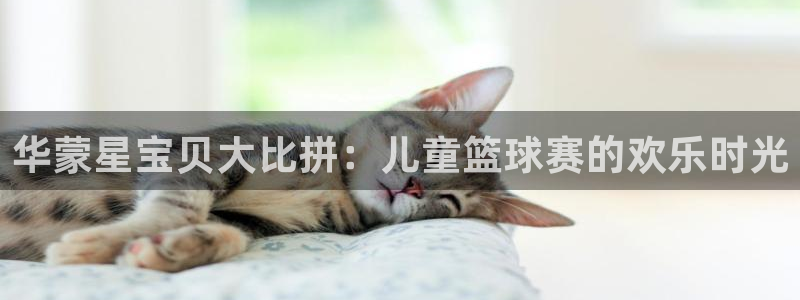 意昂平台app官方下载：华蒙星宝贝大比拼：儿童篮球赛的欢乐时