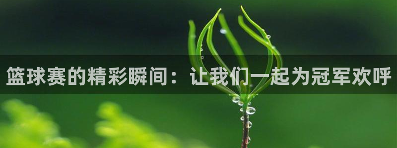  意昂体育网页登录入口入口官网网页版：篮球赛的精彩瞬间：让我们