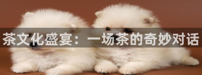 意昂官网注册平台：茶文化盛宴：一场茶