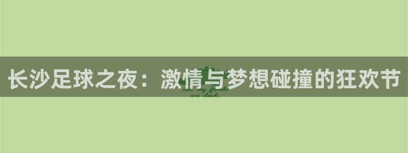 意昂体育app下载安装官网：长沙足球之夜：激情与梦想碰撞的狂