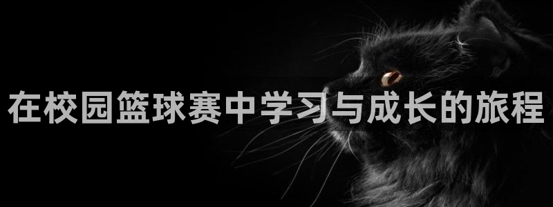 意昂官网注册平台：在校园篮球赛中学习与成长的旅程