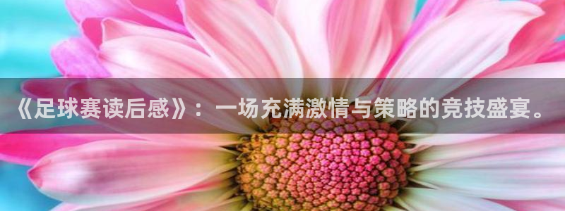 意昂平台登录入口2025：《足球赛读后感》：一场充满激情与策