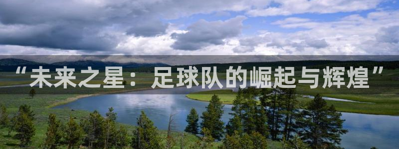  意昂平台官网：“未来之星：足球队的崛起与辉煌”