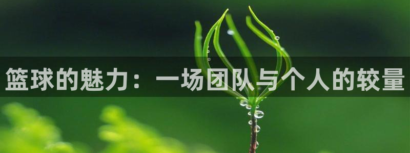  意昂平台官网：篮球的魅力：一场团队与个人的较量