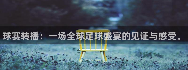 意昂平台：球赛转播：一场全球足球盛宴