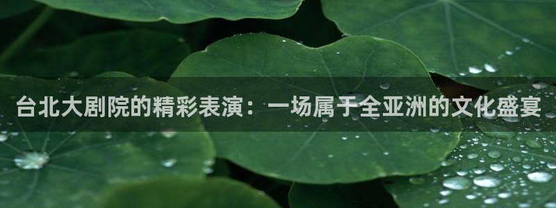  意昂体育app正版下载官网：台北大剧院的精彩表演：一场属于全