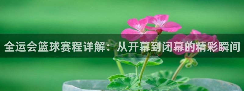 意昂体育官网：全运会篮球赛程详解：从开幕到闭幕的精彩瞬间