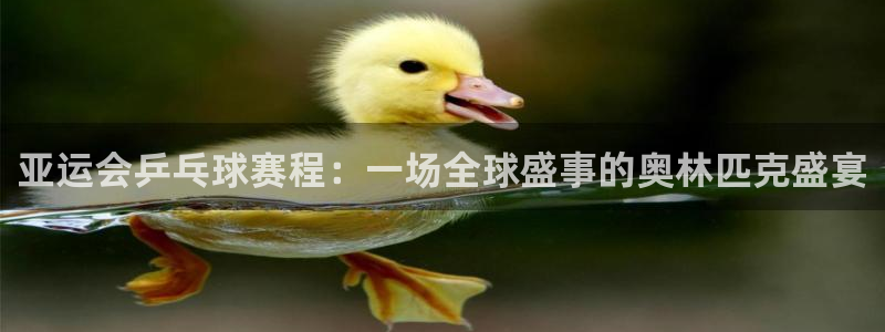  意昂官网入口登录：亚运会乒乓球赛程：一场全球盛事的奥林匹克盛