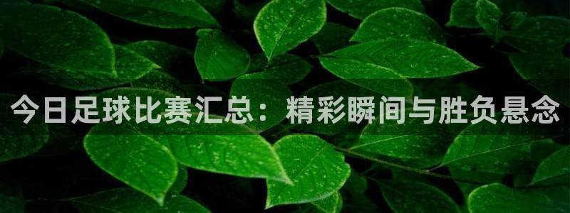 意昂官网入口登录：今日足球比赛汇总：精彩瞬间与胜负悬念
