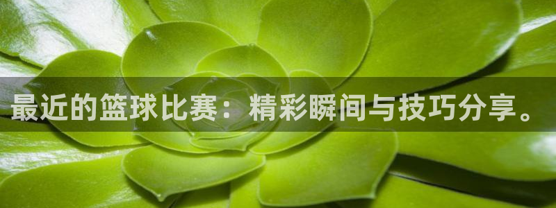 意昂体育app官方网站入口在线观看：最近的篮球比赛：精彩瞬间
