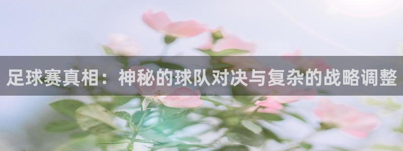 意昂体育app官方网站入口在线观看：