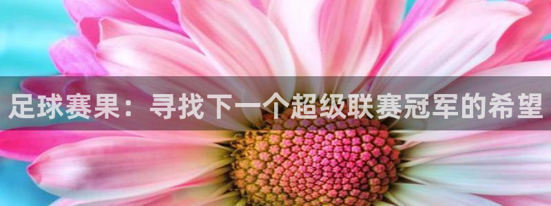  意昂体育官网：足球赛果：寻找下一个超级联赛冠军的希望