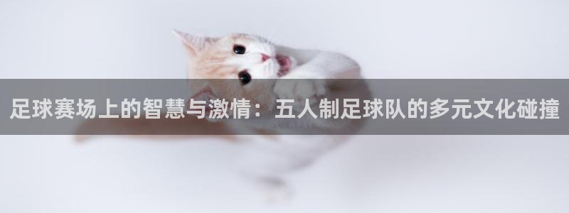 意昂官网注册平台：足球赛场上的智慧与激情：五人制足球队的多元