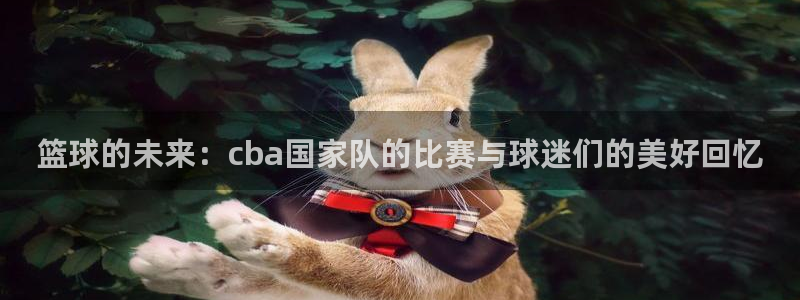 意昂官网入口登录：篮球的未来：cba