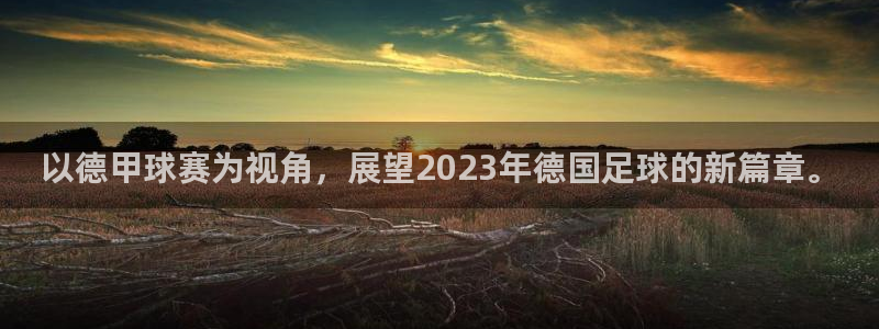  意昂平台app官方下载：以德甲球赛为视角，展望2023年德国