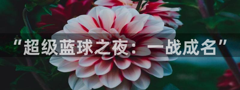 意昂体育app官方网站入口在线观看：