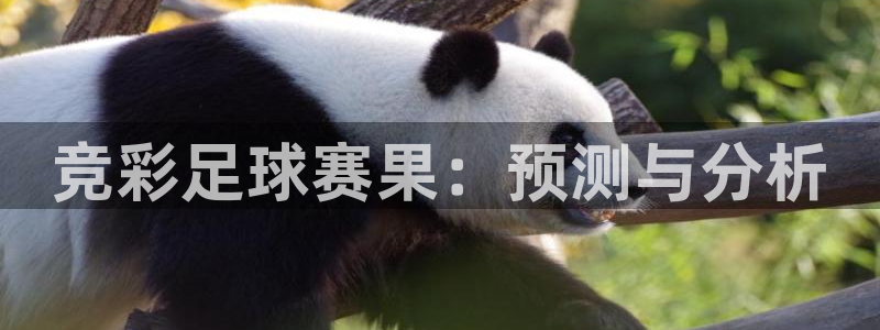 意昂体育app官方下载安装：竞彩足球赛果：预测与分析