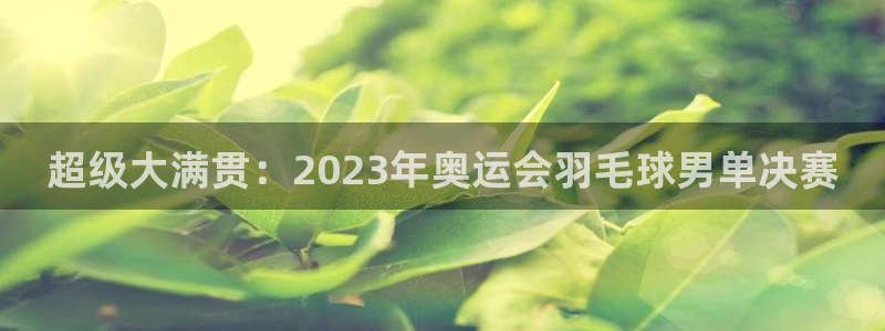 意昂体育是正规平台的吗：超级大满贯：2023年奥运会羽毛球男