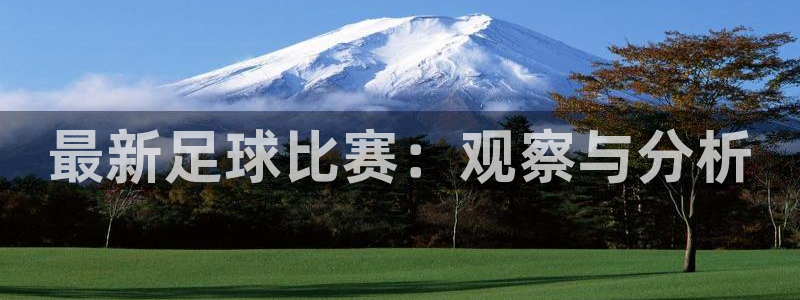 意昂平台官网：最新足球比赛：观察与分析